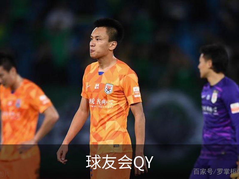 球友会QY概况